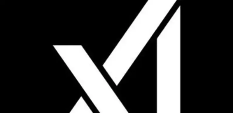 ويستعد ماسك لإطلاق XAI في أكبر طرح عام، بعد أسبوع من اندماجه مع SpaceX.