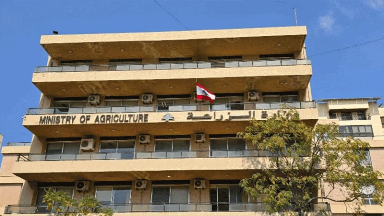 الانتهاء من المرحلة الأولى لتطعيم الأبقار