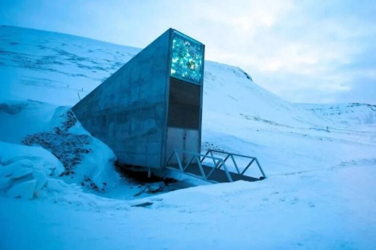 “Doomsday Vault”: العالم يستعد لسيناريوهات كارثية