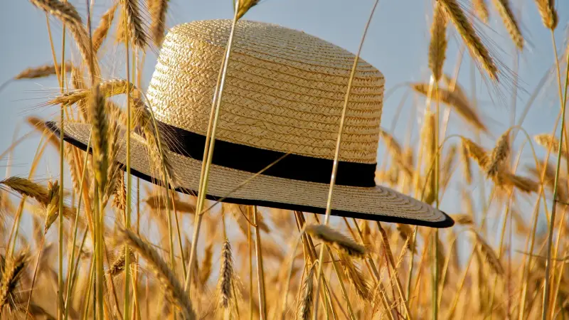 دراسة تكشف: موجات الحرارة القاسية تزيد من سرعة الشيخوخة