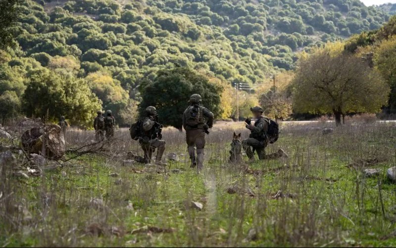 ألمانيا تحذر إسرائيل: عملية برية في لبنان ستكون "خطأ"