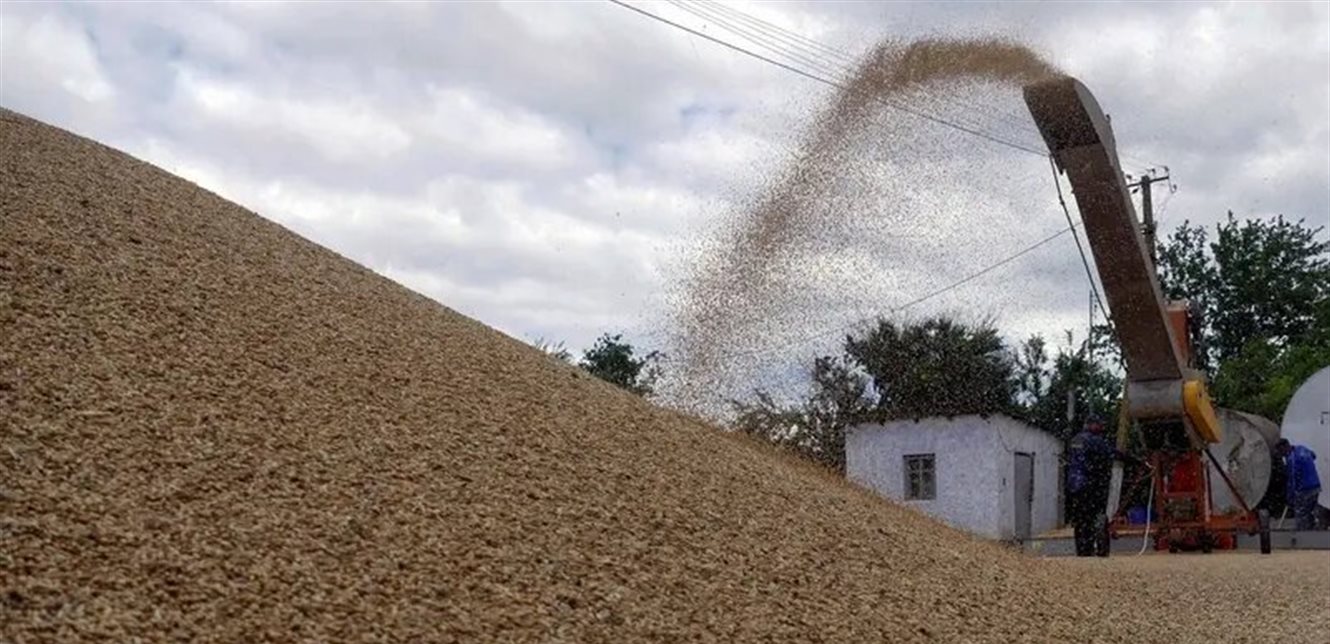 فوز شركة “سي إتش إس” بمناقصة توريد الشعير إلى الأردن