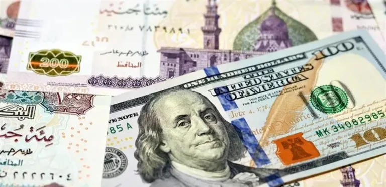 قفزة قوية للجيني المصري مقابل الدولار الأمريكي وسط تراجع النفط العالمي