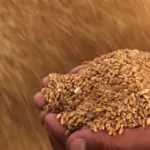 المنتج في سوريا يكسب.. والحاجة للاستيراد المستمر