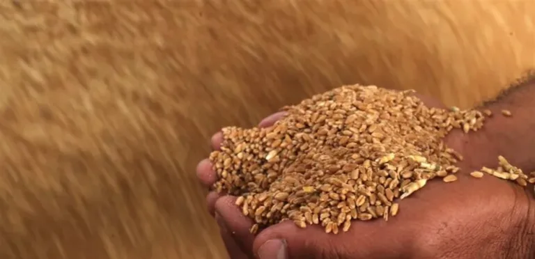 المنتج في سوريا يكسب.. والحاجة للاستيراد المستمر