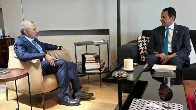 باسيل يشيد الضخمة الضخمة: دعم لبنان وجهودها التعويضية
