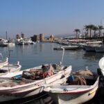 رفض صيادو لبنان قانونًا الصيد البحري: كريستين ولقمة عيشنا
