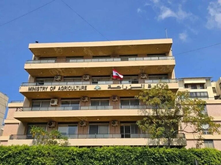 لأول مرة في تاريخه… لبنان يدخل قطاع تربية الأسماك البحرية
