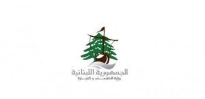 وزارة الاقتصاد: 49 فيتنامي من مجموع محاضر الضبط استهدفت المولدات الكهربائية