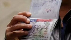 200 ألف ضربة تحت المجهر… ضربة جديدة لملف الهجرة في كاليفورنيا
