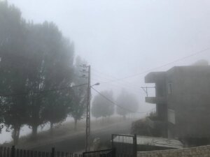 ويتحمل الحرارة… ضباب ورذاذ يبدّلان الساخنة بعد