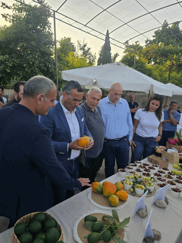 من وزارة الزراعة.. مشروع لتوزيع الشتول على 1150 مزارعاً