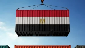 القاهرة تكثف مساعيها لعشرات العشرات و القطرية رؤوس الأموال الأجنبية